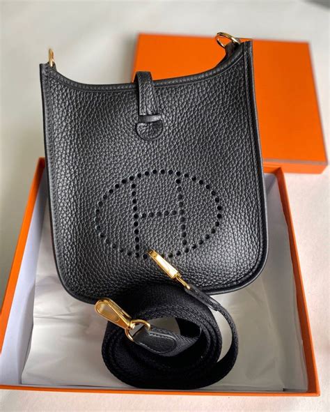 hermes mini evelyne price 2023.